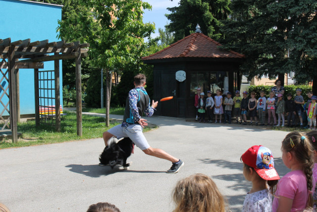 Vystoupení s pejskem