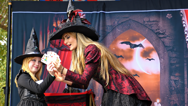 Bradavická show
