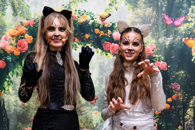Kočičí show