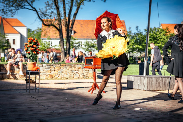 DĚTSKÁ kouzelná  SHOW