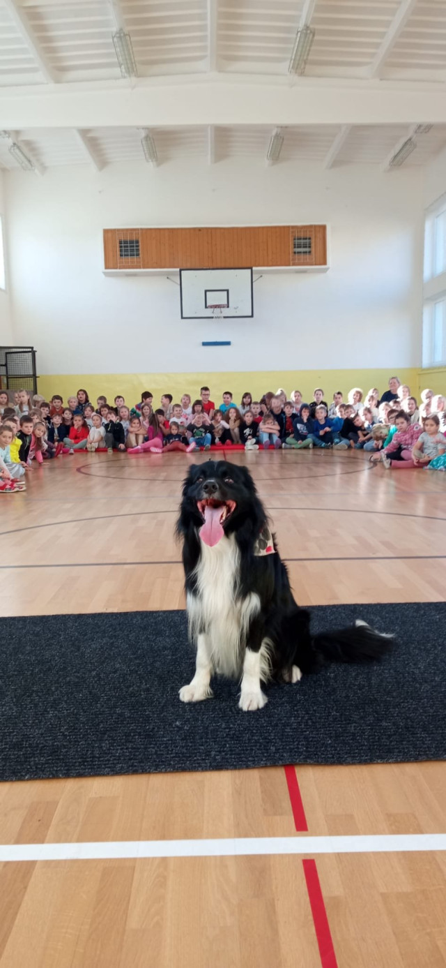 Vystoupení s pejskem