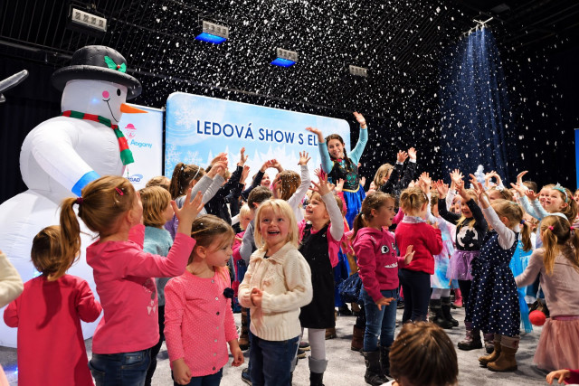 Ledová show s Elzou