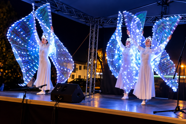 Frozen - zimní kouzlo na scéně