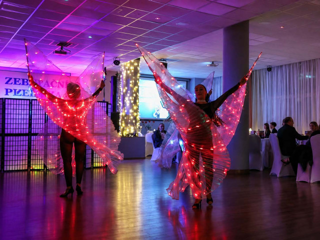 Bond girls LED show