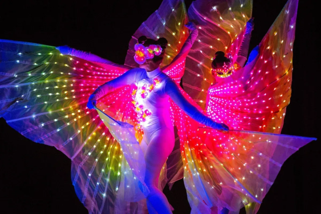 Light show rajecké sny