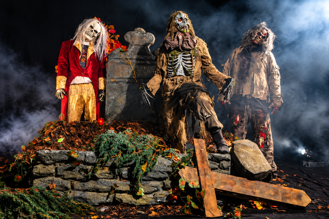Taneční zombie show