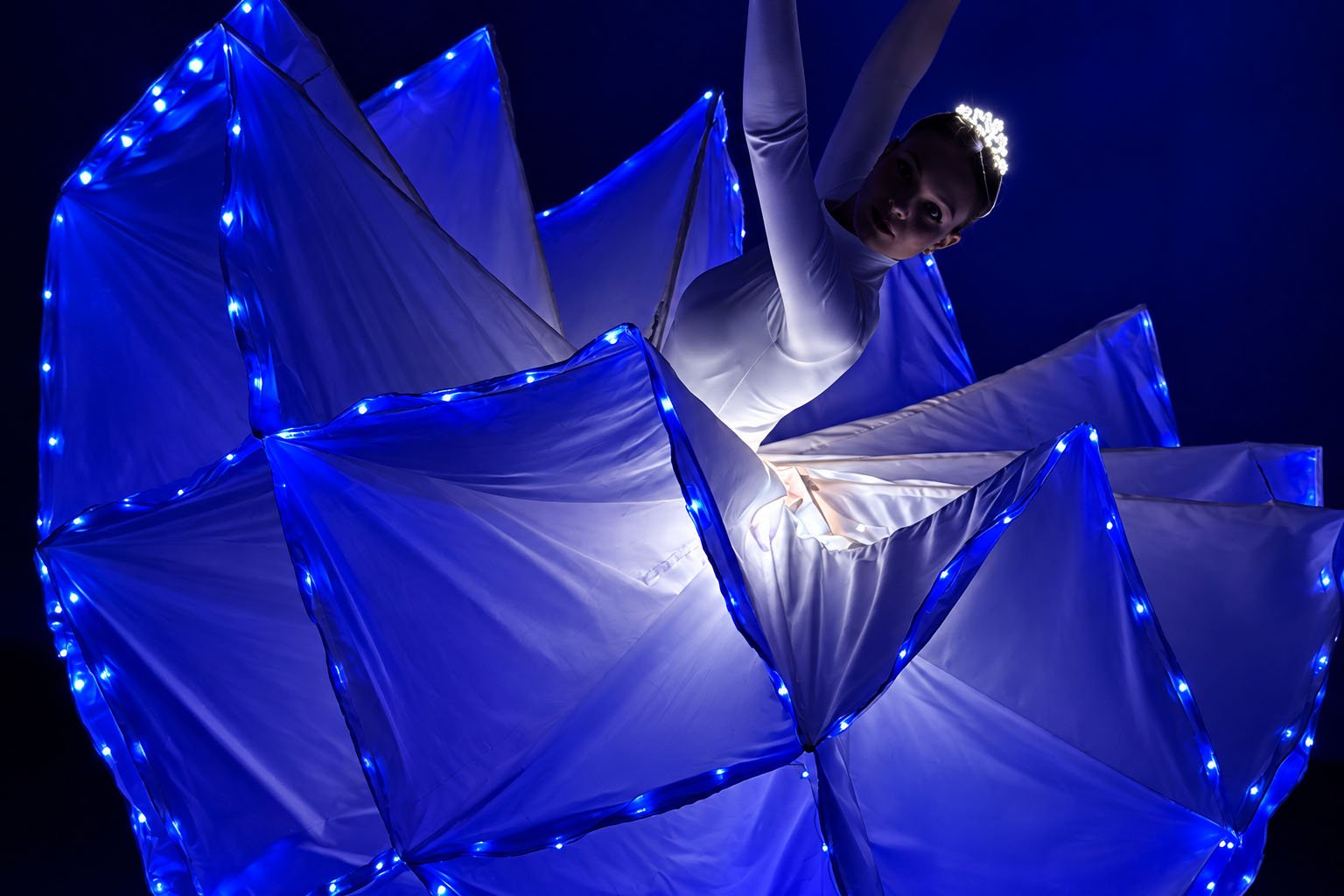 LED Blue lotos